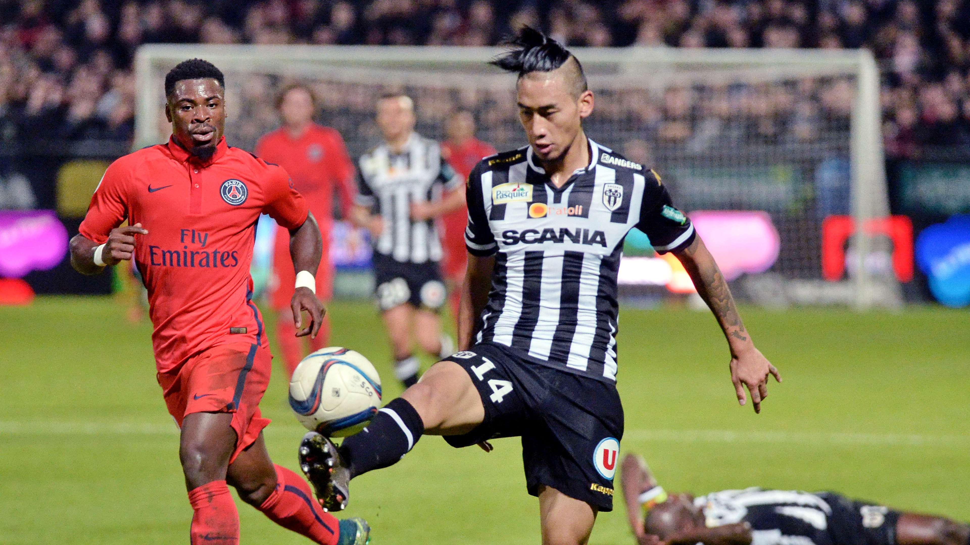 供全面而深 供全面而深