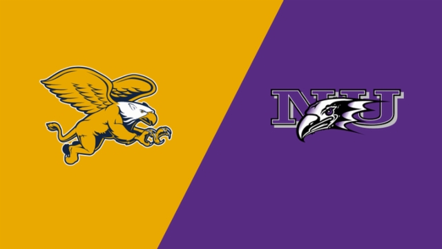 区提供了宝 区提供了宝